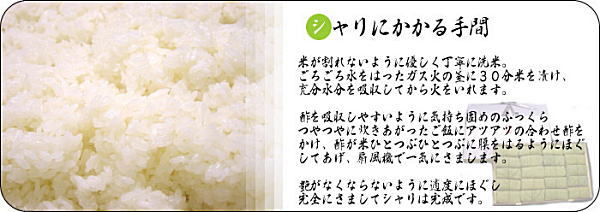 kakinoha3