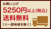 5250������